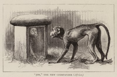 Wanderings in the Zoo by John Charles Dollman